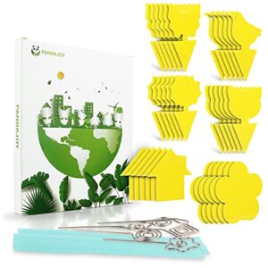 36 pcs fruit fly trap yellow sticky fungus gnat killer for indoor and outdoor plant insect catcher for white flies mosquitos fungus gnats flying insects houseplant gift for flower lover