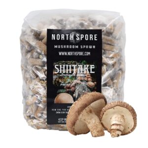 north spore organic shiitake (500 ct) mushroom plugs for logs | premium quality mushroom plug spawn | handmade in maine, usa | grow gourmet mushrooms outdoors on logs | lentinula edodes