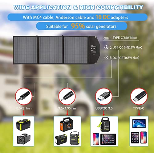 Ecosonique Foldable Solar Panel 60W with Adjustable Kickstand, Portable Solar Panel for Power Station, 18V Folding Solar Charge with 2 USB Outputs for RV Laptops Solar Generator Van Camping Off-Grid