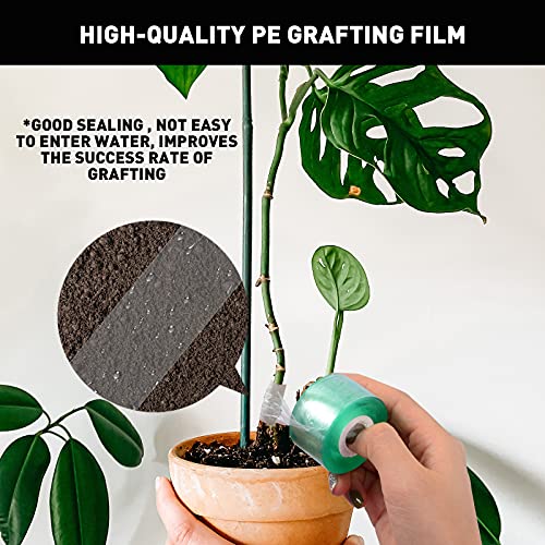 4 Rolls Garden Grafting Tape for Fruit Trees, Plants Repair Tapes, PE Grafting Film, Tree Grafting Supplies, Stretchable Clear Floristry Grafting Film for Garden Tree Seedling (2 Green 2 White)