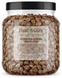 moringa seeds wingless 1 lb. wide mouth jar - pkm1 variety - edible snacking - planting - moringa oleifera - malunggay - semillas de moringa - drumstick tree - non-gmo - 1600 to 2000 seeds
