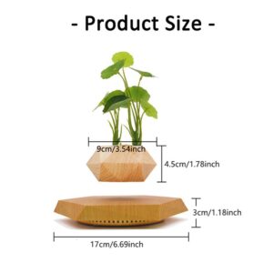 KIYOMING Levitating Plant Pot Hexagon Floating Air Bonsai Pot Suspension Flower Pot Planter for Office Home Decoration