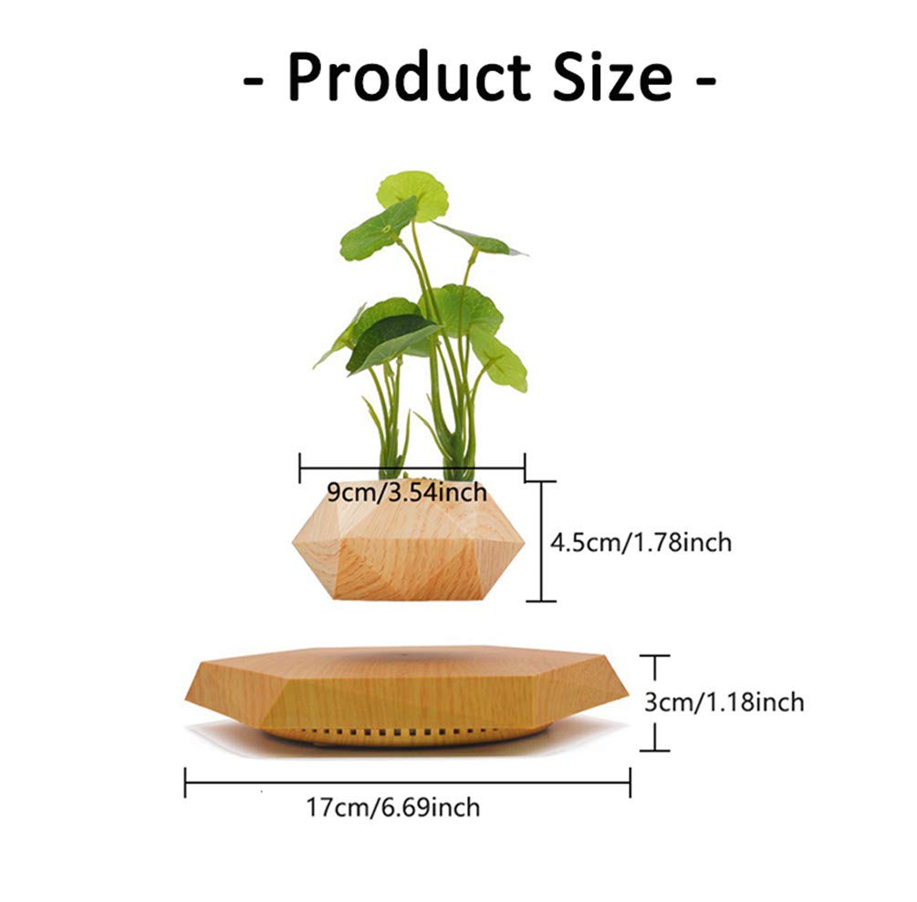 KIYOMING Levitating Plant Pot Hexagon Floating Air Bonsai Pot Suspension Flower Pot Planter for Office Home Decoration