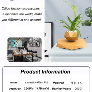 KIYOMING Levitating Plant Pot Hexagon Floating Air Bonsai Pot Suspension Flower Pot Planter for Office Home Decoration