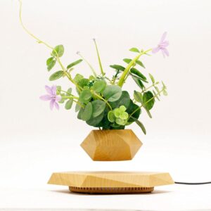 KIYOMING Levitating Plant Pot Hexagon Floating Air Bonsai Pot Suspension Flower Pot Planter for Office Home Decoration