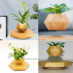 KIYOMING Levitating Plant Pot Hexagon Floating Air Bonsai Pot Suspension Flower Pot Planter for Office Home Decoration