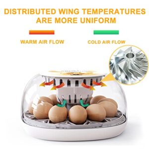 Egg Incubators, 12 Eggs Chicken Incubators Farm Poultry Hatcher Machine, Automatic Egg Turning Temperature Control for Hatching Eggs Chicken Duck Goose Quail Parrot Turkey