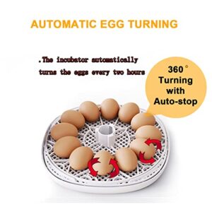 Egg Incubators, 12 Eggs Chicken Incubators Farm Poultry Hatcher Machine, Automatic Egg Turning Temperature Control for Hatching Eggs Chicken Duck Goose Quail Parrot Turkey