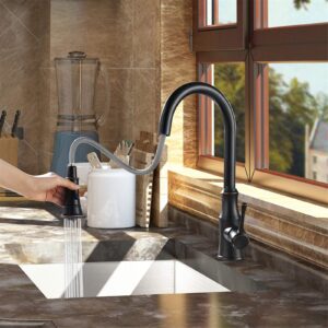 AguaStella AS94ORB Oil Rubbed Bronze Pull Down Kitchen Faucet and ASF42ORB Oil Rubbed Bronze Built in Soap Dispenser Combination