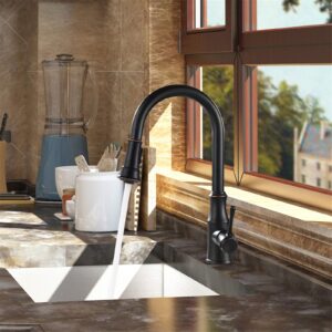 AguaStella AS94ORB Oil Rubbed Bronze Pull Down Kitchen Faucet and ASF42ORB Oil Rubbed Bronze Built in Soap Dispenser Combination