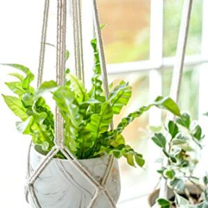 Dahey Macrame Plant Hanger Indoor Hanging Planter Basket Handmade Woven Cotton Rope Flower Pot Decorative Crochet Plant Holder Stand for Boho Home Decor No Tassels,35 Inch,Set of 2