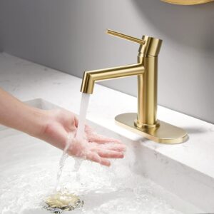 Brushed Gold Bathroom Faucet with Plastic Pop Up Drain, 6.25'' Metal Escutcheon and Supply Lines, Single Handle Stainless Basin Mixer Tap, Modern Bathroom Sink Faucet for 1 or 3 Hole Vanity Sink