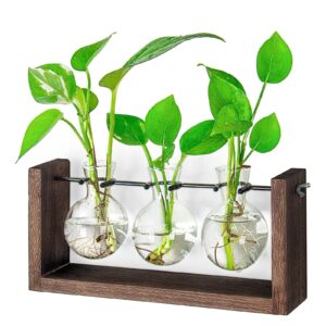 ivolador plant terrarium, wall hanging glass planter with wooden stand tabletop propagation station with metal swivel holder retro rack 3 bulb containers for hydroponics plants home office decor