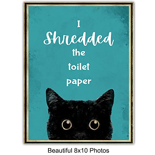 Teal Blue Bathroom Wall Decor - Funny Cat Bathroom Decor - Bathroom Rules Decorations for Women, Kitty, Kitten, Animal Lovers - Guest Bathroom - Restroom Sign - Bath Wall Decor - Powder Room Wall Art