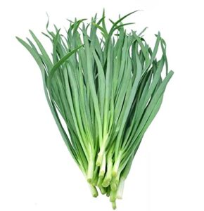 chinese chive seeds leek seeds for planting(500 seeds)
