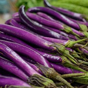 Gaea's Blessing Seeds - Eggplant Seeds - Long Purple Heirloom Non-GMO Seeds with Easy to Follow Planting Instructions - 91% Germination Rate Net Wt. 1.0g