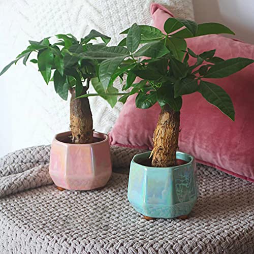 Happyyami 3pcs Flowerpot Office Decor Ceramic Plant Container Mini Plants Miniature Holder Marbling Plant Pot Home Modern Decor Plant Basin Decorative Flower Pot European Style Bonsai Pot