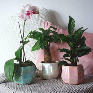 Happyyami 3pcs Flowerpot Office Decor Ceramic Plant Container Mini Plants Miniature Holder Marbling Plant Pot Home Modern Decor Plant Basin Decorative Flower Pot European Style Bonsai Pot