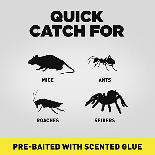 d-CON Pre-Baited Select-A-Size Glue Traps, Mouse, Ants, Cockroaches, and Spiders, Household Pest Sticky Trap, Ready to Use Indoors, 72 Count