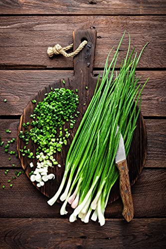 Scallion Bunching Onion Seeds, 250+ Evergreen Hardy White, Heirloom, Non-GMO, Allium fistulosum