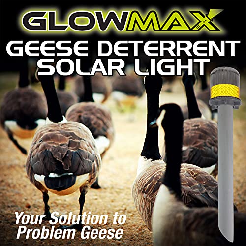 GLOWMAX, Bird Deterrent Device, Nighttime Solution to Repel Geese and Ducks from Lawns, Flashing Night Light Disrupts Sleeping to Discourage Nesting, Set of 1