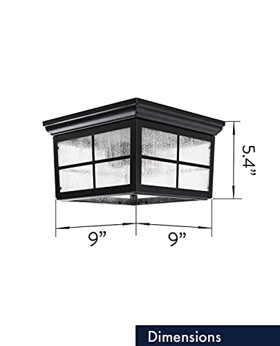 CORAMDEO French Pane Square 2 Light Ceiling Mount Farmhouse Fixture, Indoor or Outdoor, Two Standard Sockets, Open Bottom, Damp Location, Black Powder Coat Finish with Seedy Glass