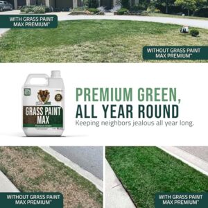 PetraTools Grass Paint Max Strength, Green Grass Lawn Spray for Dead & Dormant Lawn Paint, Green Lawn Spray, Grass Paint for Lawn, Lawn Spray Paint, Long-Lasting Concentrate Green Dye for Lawn (32oz)