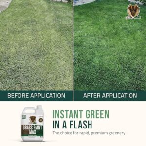 PetraTools Grass Paint Max Strength, Green Grass Lawn Spray for Dead & Dormant Lawn Paint, Green Lawn Spray, Grass Paint for Lawn, Lawn Spray Paint, Long-Lasting Concentrate Green Dye for Lawn (32oz)