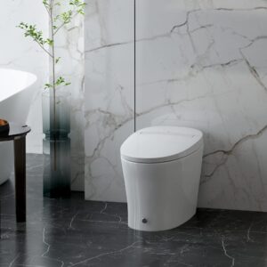 R&T Tankless Smart Toilet Touchless Auto Flush 1.28-GPF Battery-Operated One-Piece HET Intelligent Toilet for Bathroom