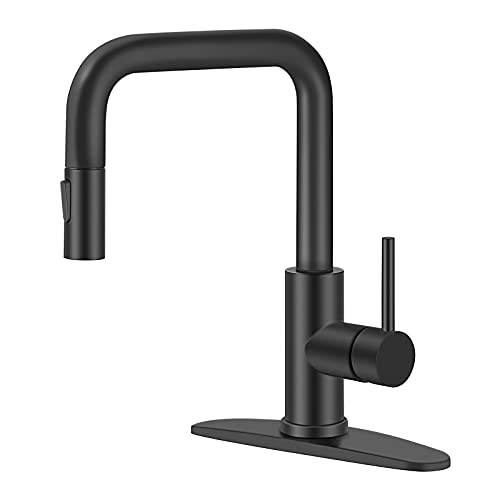 Kitchen Faucet Single Handle Stainless Steel Kitchen Sink Faucet with Pull Out Sprayer Matte Black