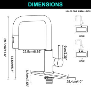 Kitchen Faucet Single Handle Stainless Steel Kitchen Sink Faucet with Pull Out Sprayer Matte Black