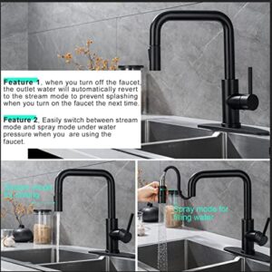 Kitchen Faucet Single Handle Stainless Steel Kitchen Sink Faucet with Pull Out Sprayer Matte Black