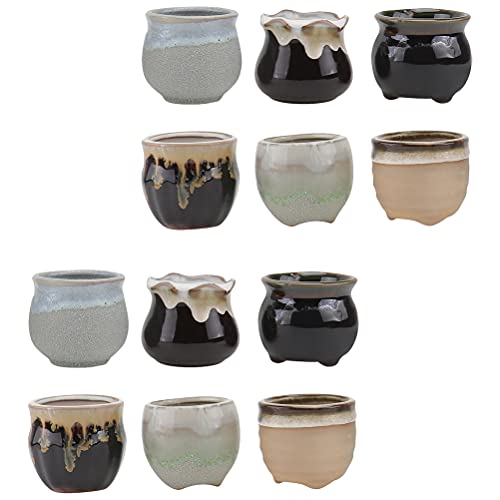 Happyyami 12pcs Ceramic Thumb Basin Mini Flower Planter Ceramic Floral Vase Flower Pot Table Decoration Green Decor Clay pots Window Ceramic Flower Pot Succulents Ceramics Pearlescent