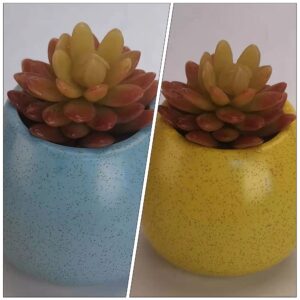 Outdoor Decor Ceramic Flower Pot 2pcs Practical Flowerpot Simple Succulent Storage Pot Home Plant Container Air Plants