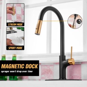 Achelous Black and Gold Kitchen Faucet with Pull Down Magnetic Docking Sprayer,Stainless Steel Pull Out RV Kitchen Sink Faucets,Single Handle Deck Mount,Grifos De Cocina (Black and Gold)