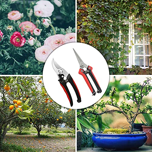 TuHeeHuT Pruning Shears,Gardening Pruning Shears Set,Hand Pruners,Garden Clippers,Garden Scissors Stainless Steel Sharp Blades with Garden Gloves,Storage Bag and Wipe Rag