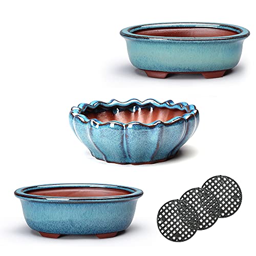 HUOMUSIR (3-Piece 7.2+5.5+4.5 Inch Water-Glazed Blue Bonsai Tree Flower Pots, Succulent Ceramic Flower Pots, Handmade