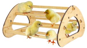 wooden chicken perch for baby chick - chick roosting bar with 7 crossbars - chick roost for brooder - chicken roosting bars - baby chick perch - baby chicken toy