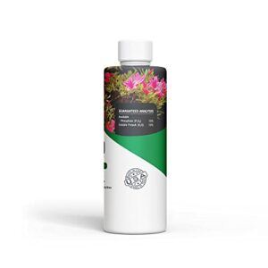 Ho Yoku 0-10-10 Soil Enhancer - Used During The Fall and Winter Months, Does Not Promote Foliage Growth + Keeps The Tree's Root System Healthy and Aids in Flowering