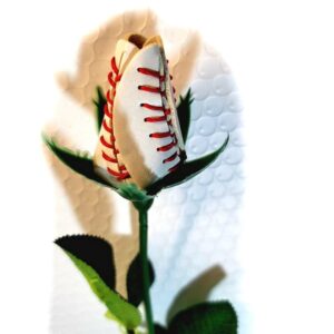 Sport Roses Baseball Softball Basketball Volleyball Soccer (Baseball) (1 Rose)