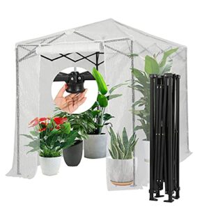 crown shades 8'x6' instant pop-up walk-in greenhouse indoor outdoor plant gardening green house canopy, front and rear roll-up zipper entry doors and 2 roll-up side windows, transparent