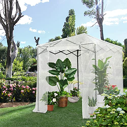 CROWN SHADES 8'x6' Instant Pop-up Walk-in Greenhouse Indoor Outdoor Plant Gardening Green House Canopy, Front and Rear Roll-up Zipper Entry Doors and 2 Roll-Up Side Windows, Transparent