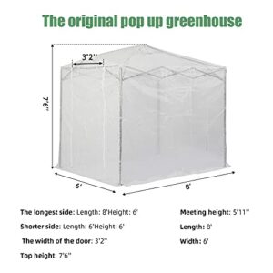 CROWN SHADES 8'x6' Instant Pop-up Walk-in Greenhouse Indoor Outdoor Plant Gardening Green House Canopy, Front and Rear Roll-up Zipper Entry Doors and 2 Roll-Up Side Windows, Transparent