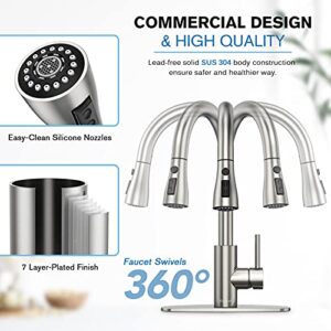 Kitchen Faucets, Kitchen Faucet with Pull Down Sprayer, High Arc Single Handle Kitchen Sink Faucet with Water Lines, Brushed Nickel Kitchen Faucet with Sprayer, RV Kitchen Sink faucets