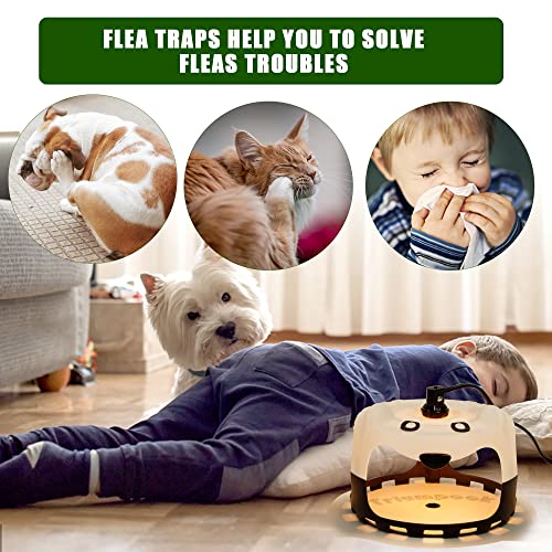 Triumpeek Flea Trap, Get Rid of Fleas Trap with 5 Sticky Discs & 2 Replacement Light Bulbs, Indoor Lamp Catcher for Fleas, Moths, and Cockroaches