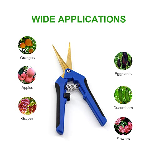 HOMEANING 12PCS Pruning Shears with Curved Blades, Garden Trimming Scissors, Gardening Hand Pruning Snips Titanium Coated Precision Bonsai Pruning Shears, Convenient Flower Cutters (Blue)