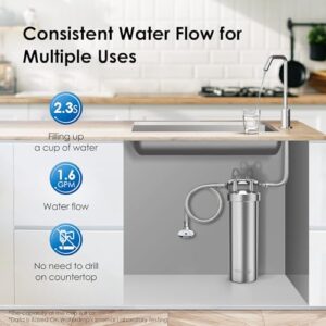 Waterdrop AS08 Stainless Steel Under Sink Water Filter System, 1 Years Lifetime Under Sink Water Filter, 5X Service Life, Reduces Chlorine, Lead, Heavy Metals, Bad Taste, Brushed (1 Filter Included)