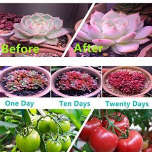 WEDCOL Grow Lights for Indoor Plants Red Blue Spectrum Plant Grow Light Adjustable Gooseneck 135 LED Grow Lamp with 3/9/12H Timer, 10 Dimmable Levels & 3 Switch Modes