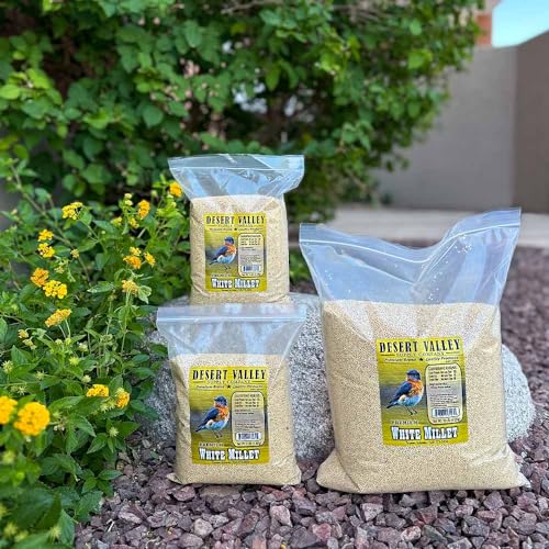 Desert Valley Premium White Millet Proso Seeds - Wild Bird Food, Cardinal, Finch & More (5-Pounds)