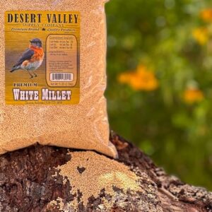 Desert Valley Premium White Millet Proso Seeds - Wild Bird Food, Cardinal, Finch & More (5-Pounds)